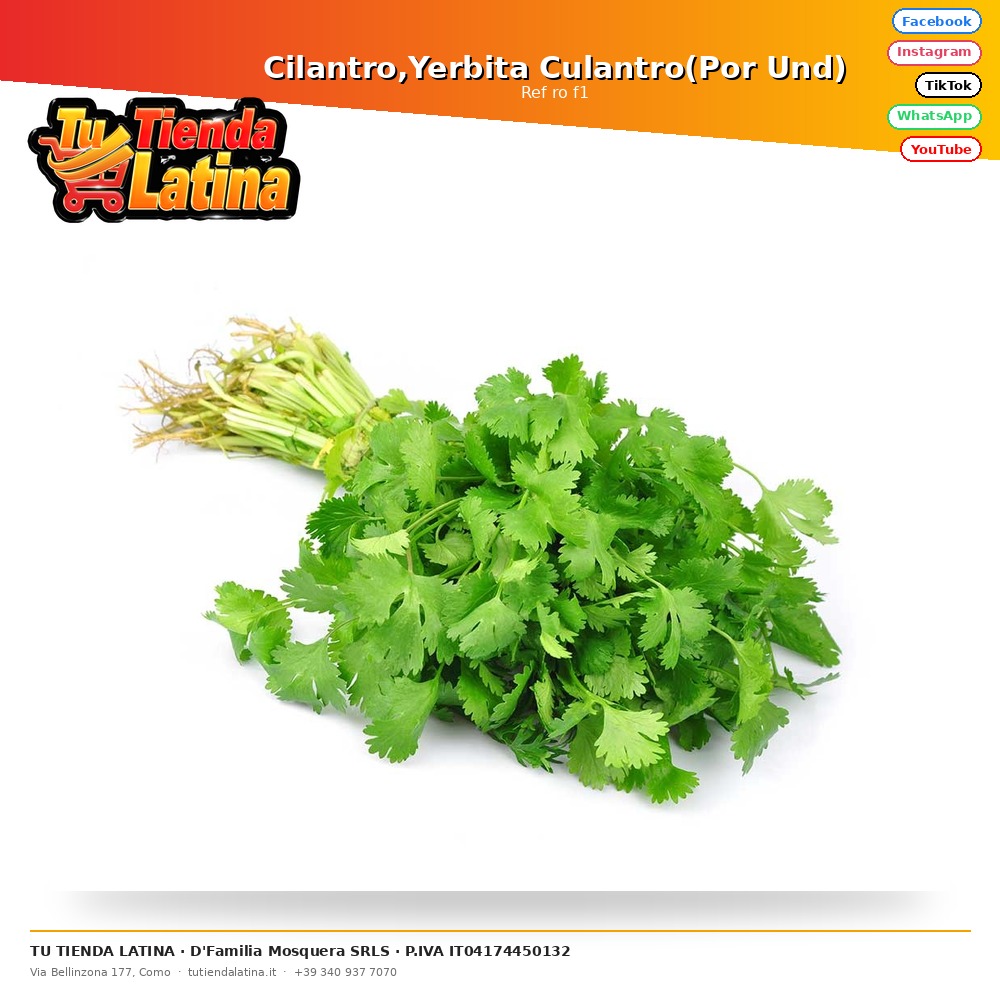 Cilantro,Yerbita Culantro(Por Und)
