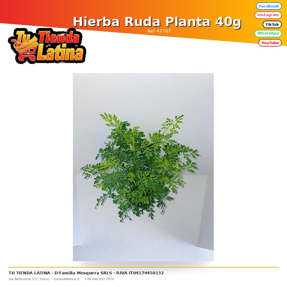 Hierba Ruda Planta 40g 